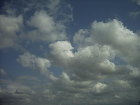                                               CIEL